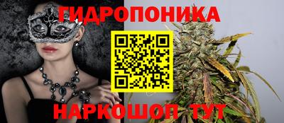 шишки Среднеуральск