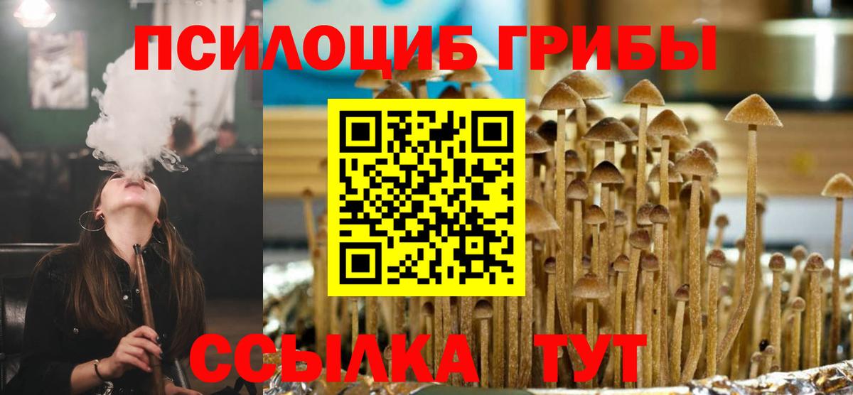 Псилоцибиновые грибы Magic Shrooms  Вход с VPN  Новозыбков 